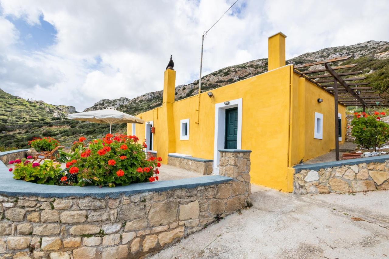 Olive Grove Cottage Μενετές Εξωτερικό φωτογραφία
