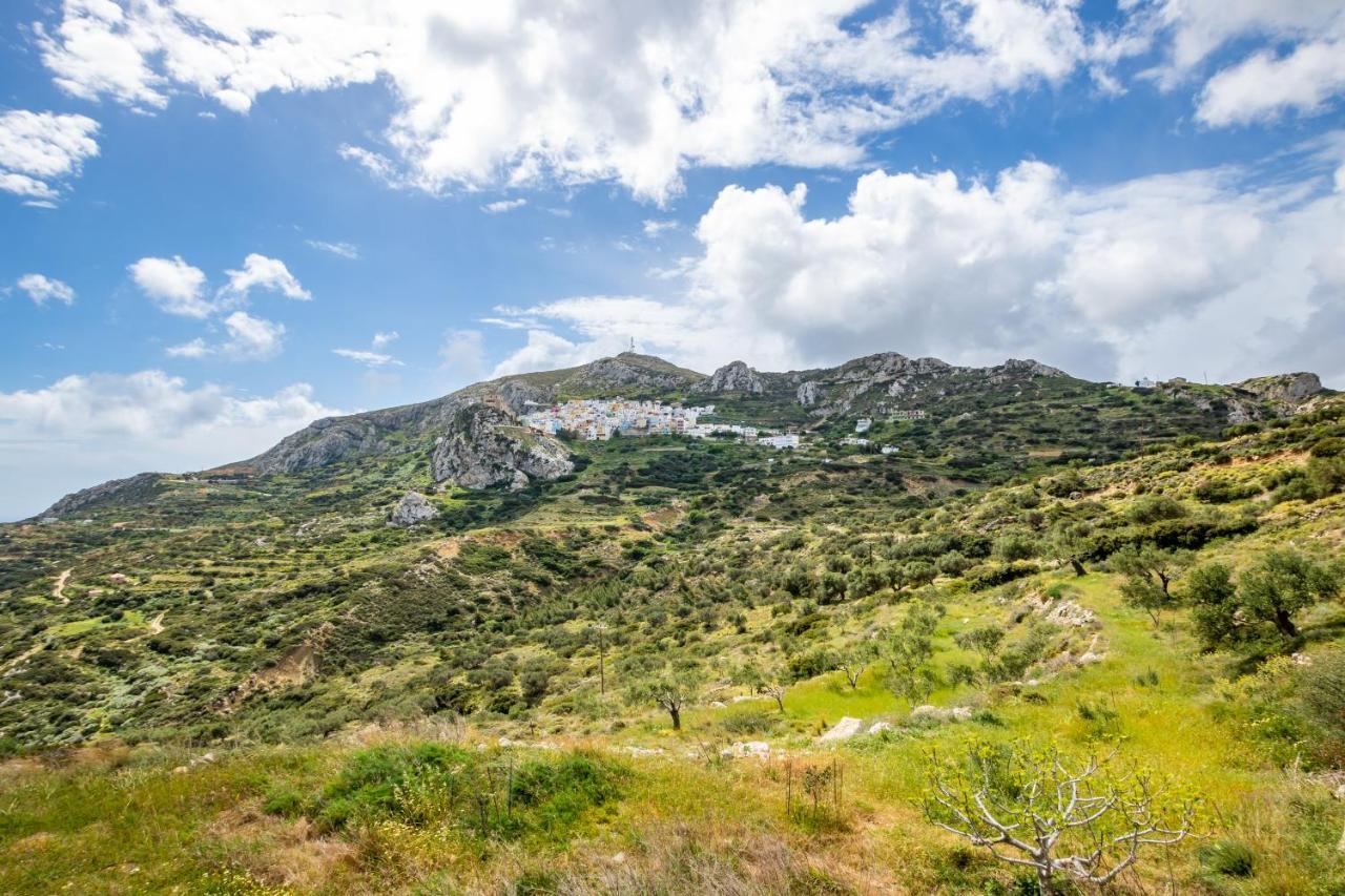 Olive Grove Cottage Μενετές Εξωτερικό φωτογραφία