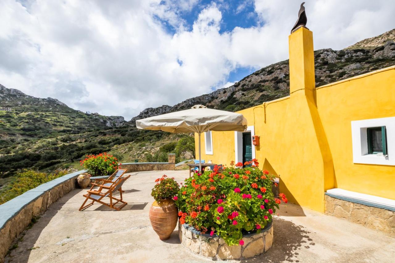 Olive Grove Cottage Μενετές Εξωτερικό φωτογραφία