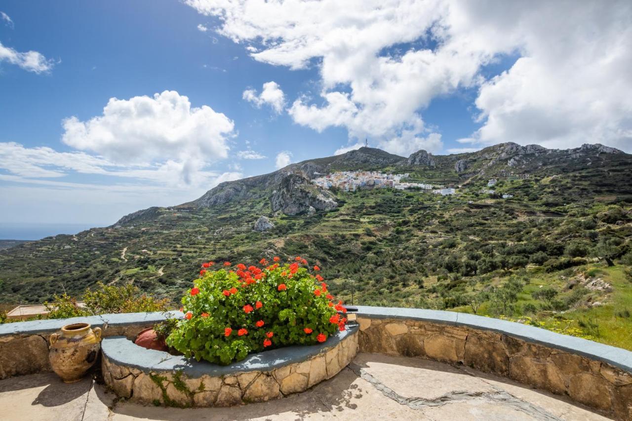 Olive Grove Cottage Μενετές Εξωτερικό φωτογραφία